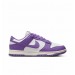 Кроссовки женские Nike Dunk Low Next Nature (DD1873-108)