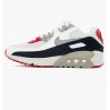 Кроссовки Nike Air Max 90 Ltr Photon Dust Varsity Red (Gs) CD6864-019