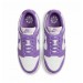Кросівки жіночі Nike Dunk Low Next Nature (DD1873-108)