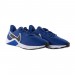 Кроссовки Nike Legend Essential 2