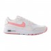 Кросівки Nike Wmns Nike Air Max Sc CW4554-601