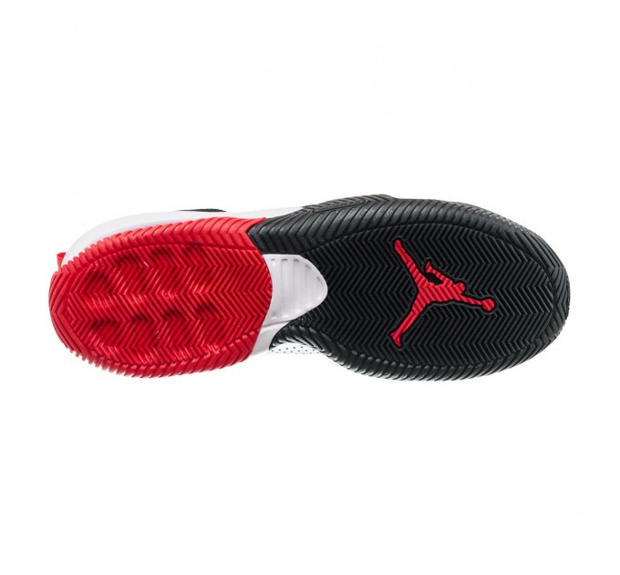 Кросівки Jordan Stay Loyal 2 DQ8401-016