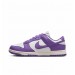 Кроссовки женские Nike Dunk Low Next Nature (DD1873-108)