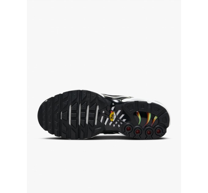 Кроссовки Nike Air Max Plus Rainbow (W) DZ3670-001
