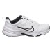 Кроссовки унисекс Nike Defyallday (DJ1196-102)