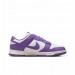 Кросівки жіночі Nike Dunk Low Next Nature (DD1873-108)