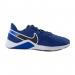 Кроссовки Nike Legend Essential 2