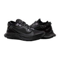 Кроссовки Nike Pegasus Trail 2 Gore-Tex
