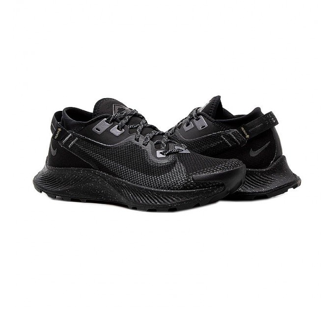 Кроссовки Nike Pegasus Trail 2 Gore-Tex