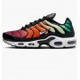 Кроссовки Nike Air Max Plus Rainbow (W) DZ3670-001