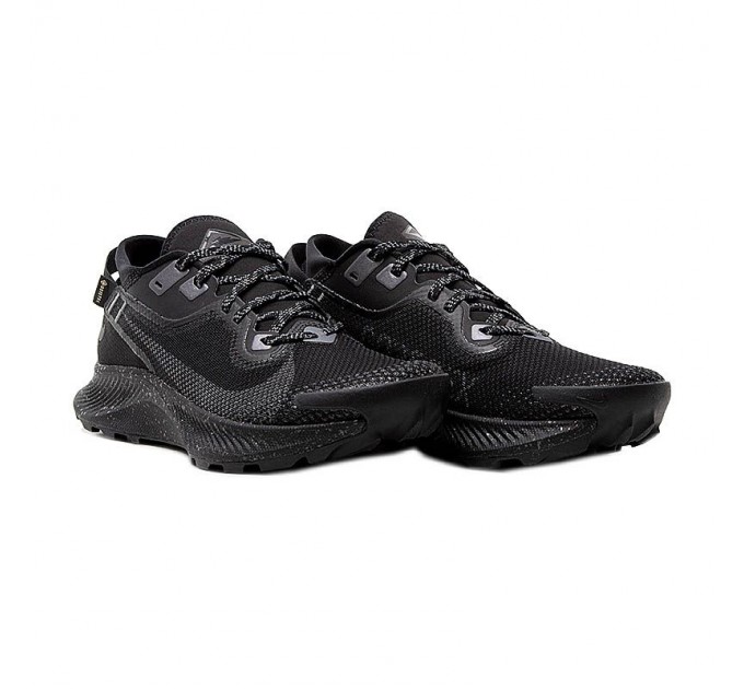 Кроссовки Nike Pegasus Trail 2 Gore-Tex