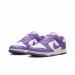 Кроссовки женские Nike Dunk Low Next Nature (DD1873-108)