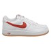 Кроссовки мужские Nike Air Force 1 Low Retro (DJ3911-102)