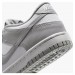 Кроссовки женские Nike Dunk Low Gs (FB9109-123)