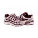 Кросівки жіночі Nike P-6000 (HV2522-600)