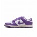 Кроссовки женские Nike Dunk Low Next Nature (DD1873-108)