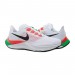 Кроссовки Nike Air Zoom Pegasus 37 E.K.