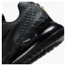 Кроссовки мужские Nike Air Max Phoenix (FZ5307-004)