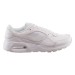Кроссовки женские Nike Air Max (CW4554-101)