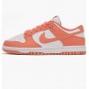 Кроссовки женские Nike Dunk Low Next Nature (DD1873-109)