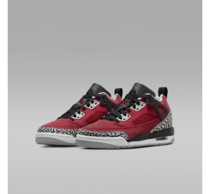 Кроссовки Jordan Spizike Low (Gs) FQ3950-600