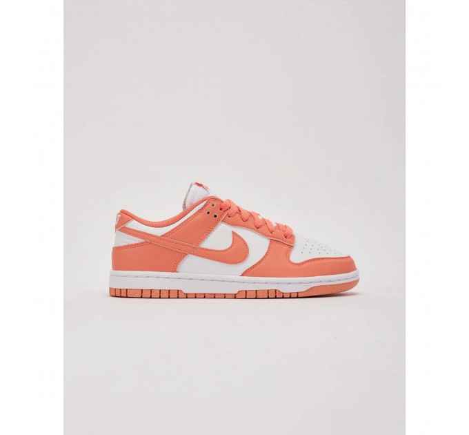 Кроссовки женские Nike Dunk Low Next Nature (DD1873-109)