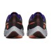 Кроссовки Nike Air Zoom Pegasus 38 Shield