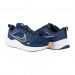 Кроссовки Бігові Nike Downshifter 12 DD9293-400