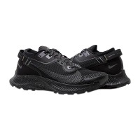 Кроссовки Nike Pegasus Trail 2 GORE-TEX