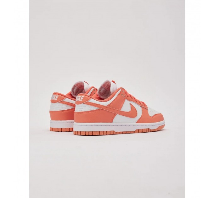 Кросівки жіночі Nike Dunk Low Next Nature (DD1873-109)