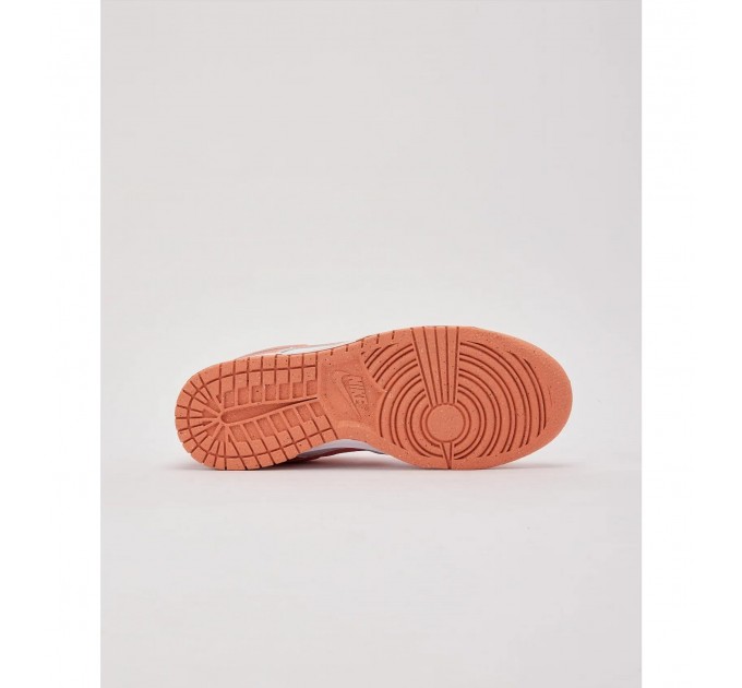 Кроссовки женские Nike Dunk Low Next Nature (DD1873-109)
