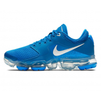 Кроссовки Nike Air Vapormax (Gs) 917963-402