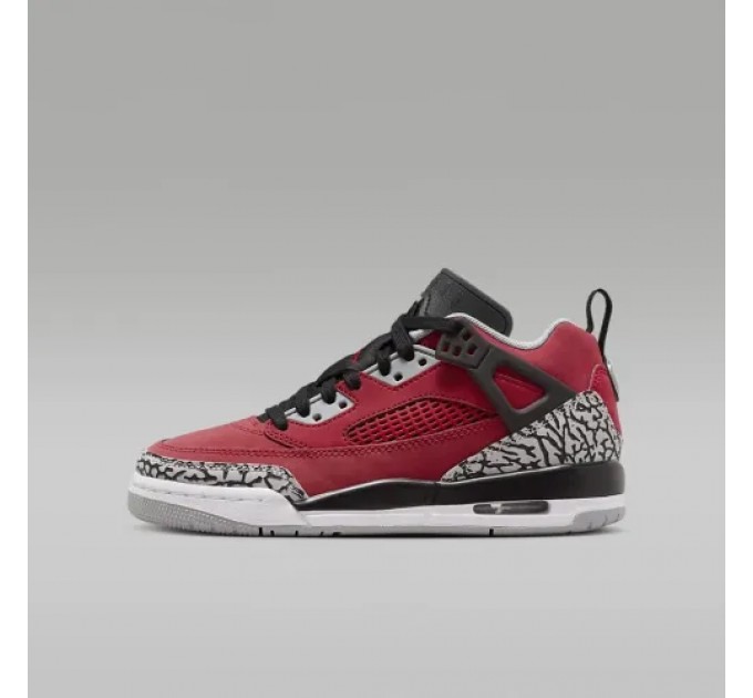 Кроссовки Jordan Spizike Low (Gs) FQ3950-600