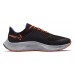 Кроссовки Nike Air Zoom Pegasus 38 Shield