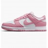 Кроссовки женские Nike Dunk Low Next Nature (DD1873-112)