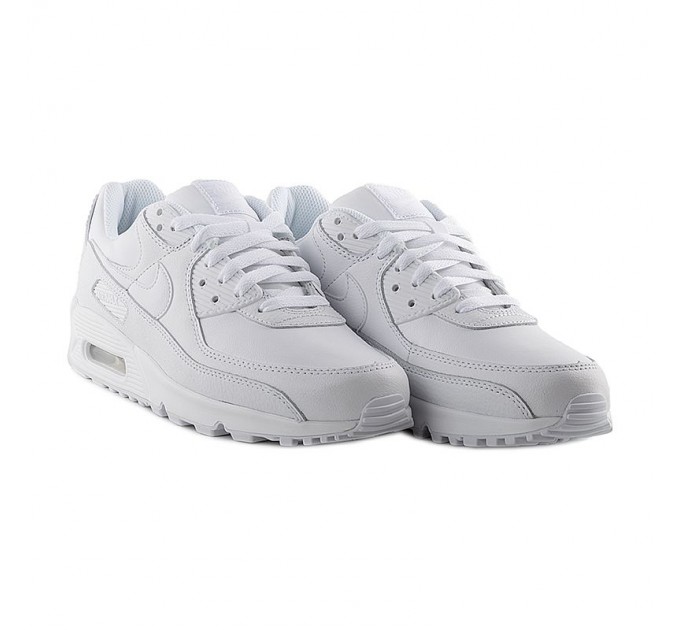 Кросівки Nike Air Max 90 Ltr CZ5594-100