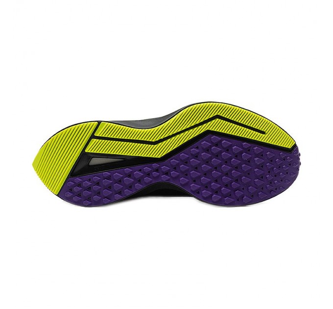 Кроссовки Nike WMNS ZOOM WINFLO 6 SHIELD