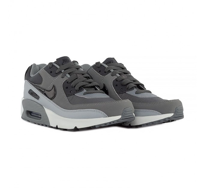 Кросівки Nike Air Max 90 Ltr CD6864-015