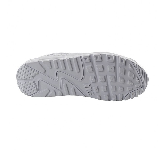 Кросівки Nike Air Max 90 Ltr CZ5594-100