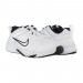 Кросівки Nike Defyallday 4E DM7564-100