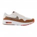 Кросівки Nike Air Max Sc Se DX9501-100