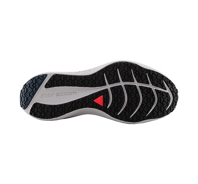 Кроссовки Nike Zoom Winflo 8 Shield