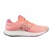 Кросівки New Balance 520 V8 W520CP8