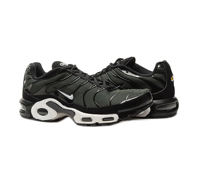 Кроссовки Nike Air Max Plus