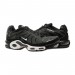 Кроссовки Nike Air Max Plus