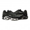 Кроссовки Nike Air Max Plus