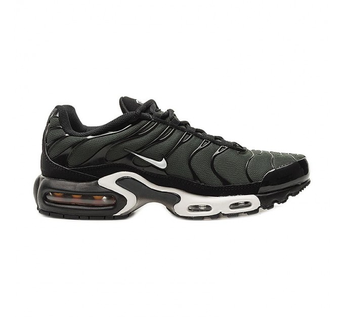 Кроссовки Nike Air Max Plus
