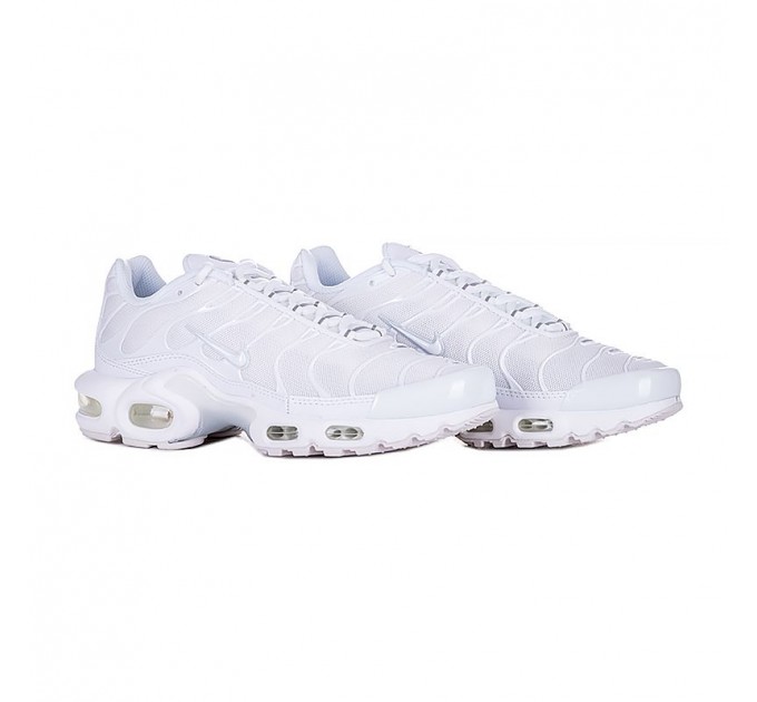 Кросівки Nike Air Max Plus DM2362-100