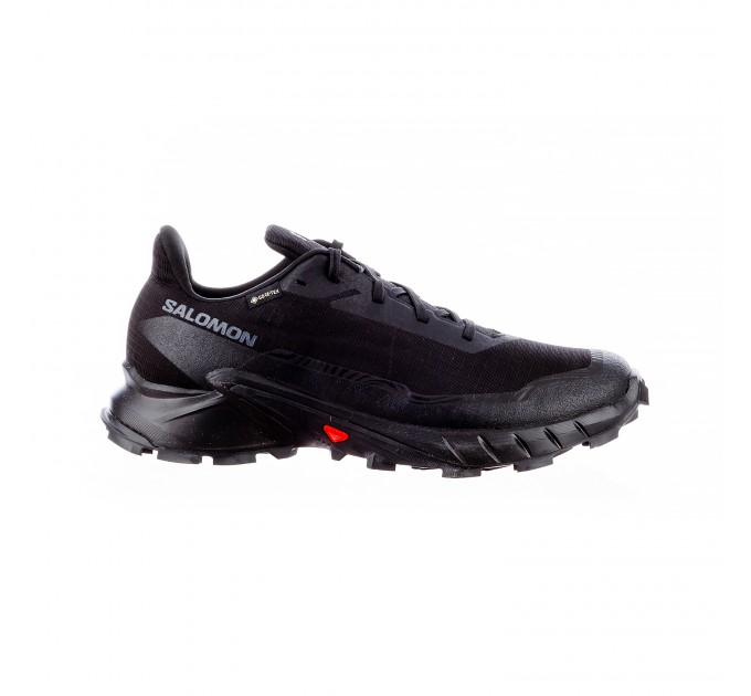 Кросівки чоловічі Salomon Alphacross 5 Gore-Tex (L47307500)