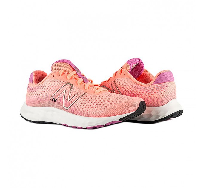Кросівки New Balance 520 V8 W520CP8